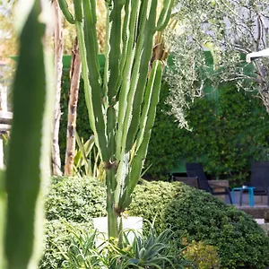 Mercure Centre Notre Dame Hotell